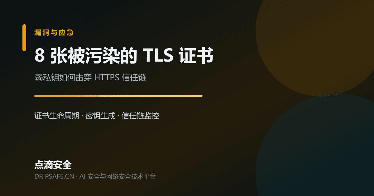 8 张被污染的 TLS 证书：弱私钥如何击穿 HTTPS 信任链